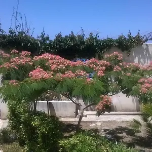 Domus Austri Casa vacanze